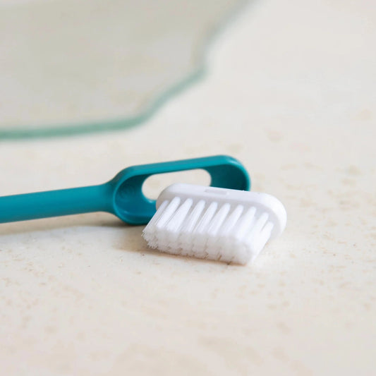 Brosse à dents rechargeable turquoise adulte écologique Caliquo bioplastique