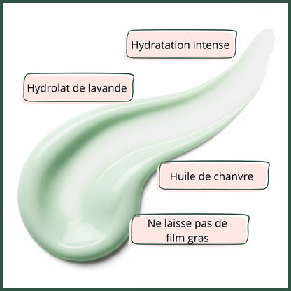 Actifs principaux crème hydratante huile chanvre bio LN Cosmétique