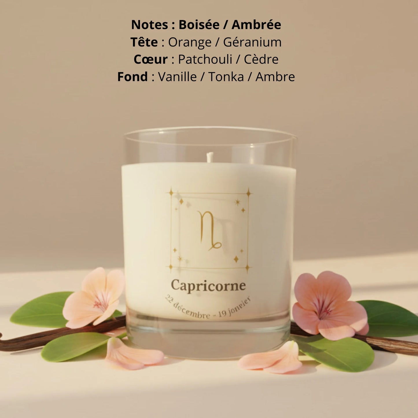 Bougie parfumée astro signe Capricorne cire de soja naturelle LN Cosmétique