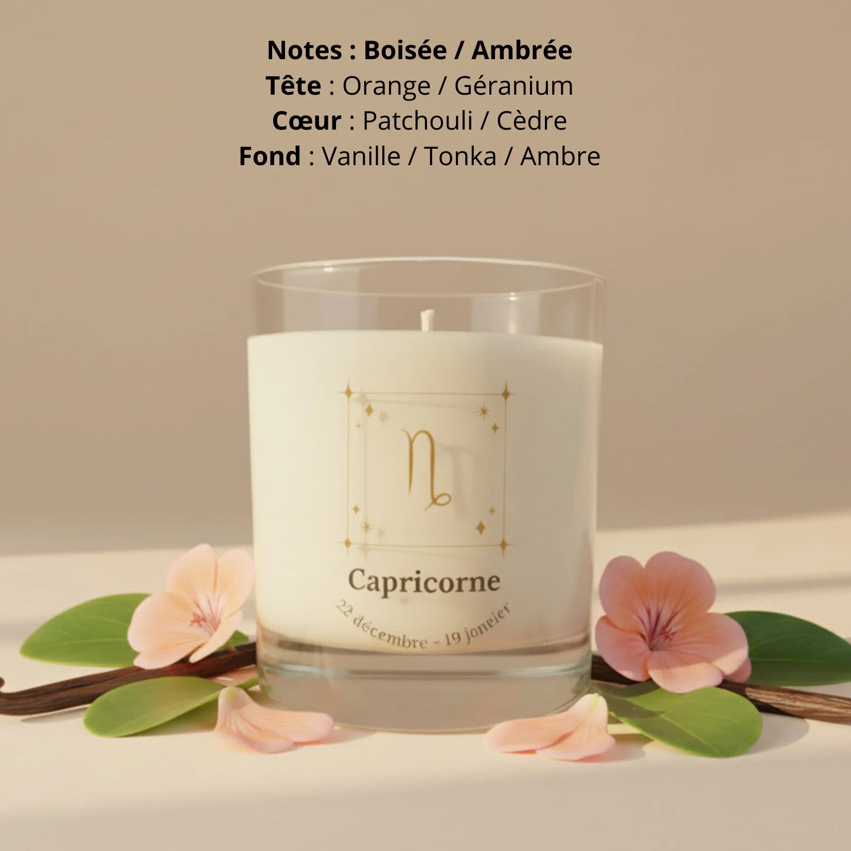 Bougie parfumée astro signe Capricorne cire de soja naturelle LN Cosmétique