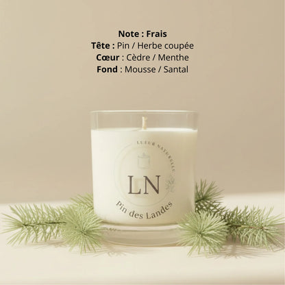 Bougie parfumée cire de soja pin des landes LN Cosmétique