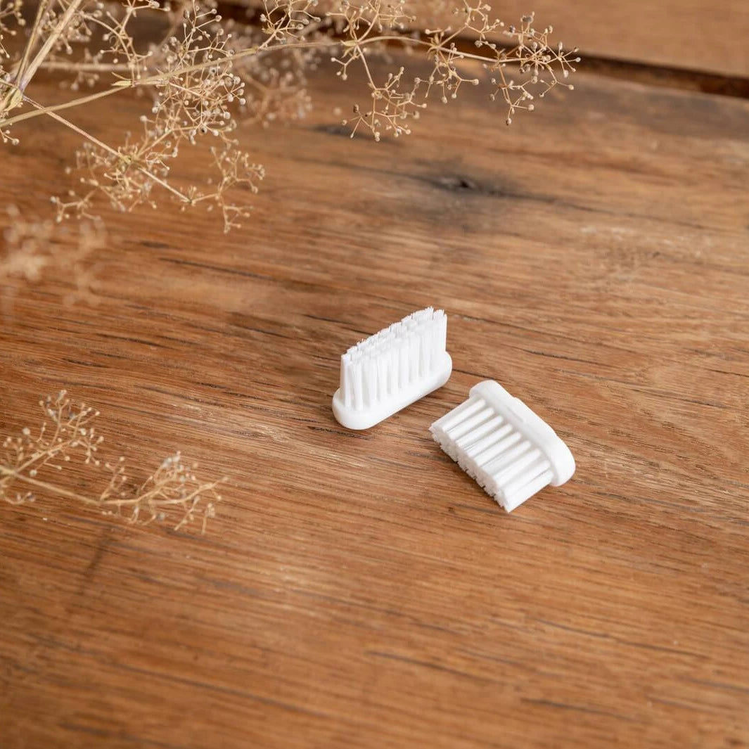 Recharge brosse à dents adulte Caliquo tête interchangeable